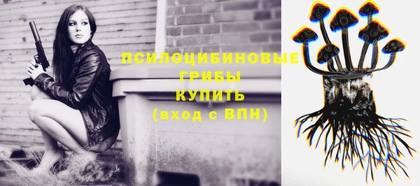 а пвп мука Богородицк