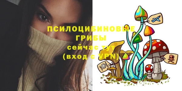 а пвп мука Богородицк