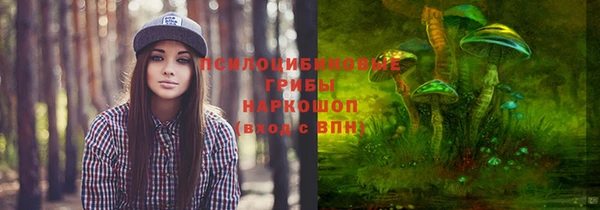 а пвп мука Богородицк