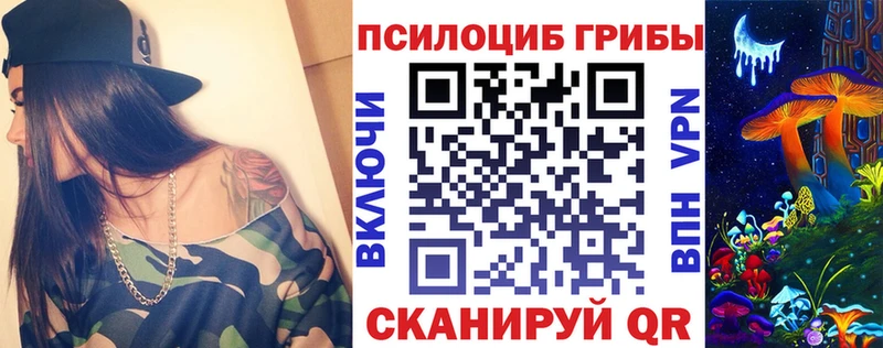 купить  сайты  Беслан  Галлюциногенные грибы Psilocybe 